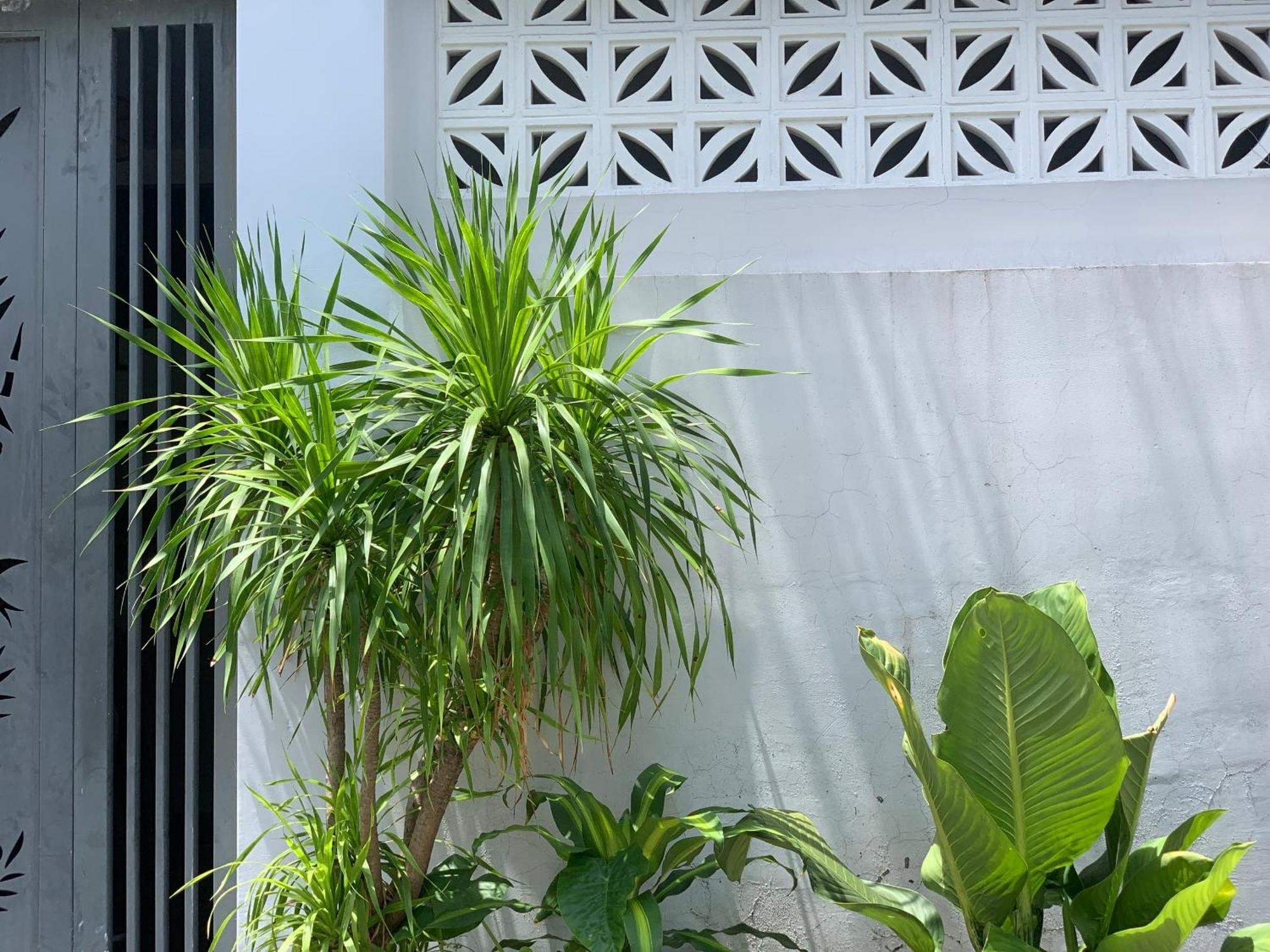 Tina House Apartment Ντα Νανγκ Εξωτερικό φωτογραφία